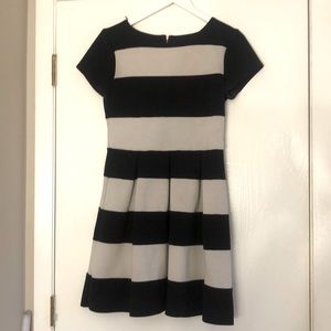 Adorable Dress w/ Zip Back